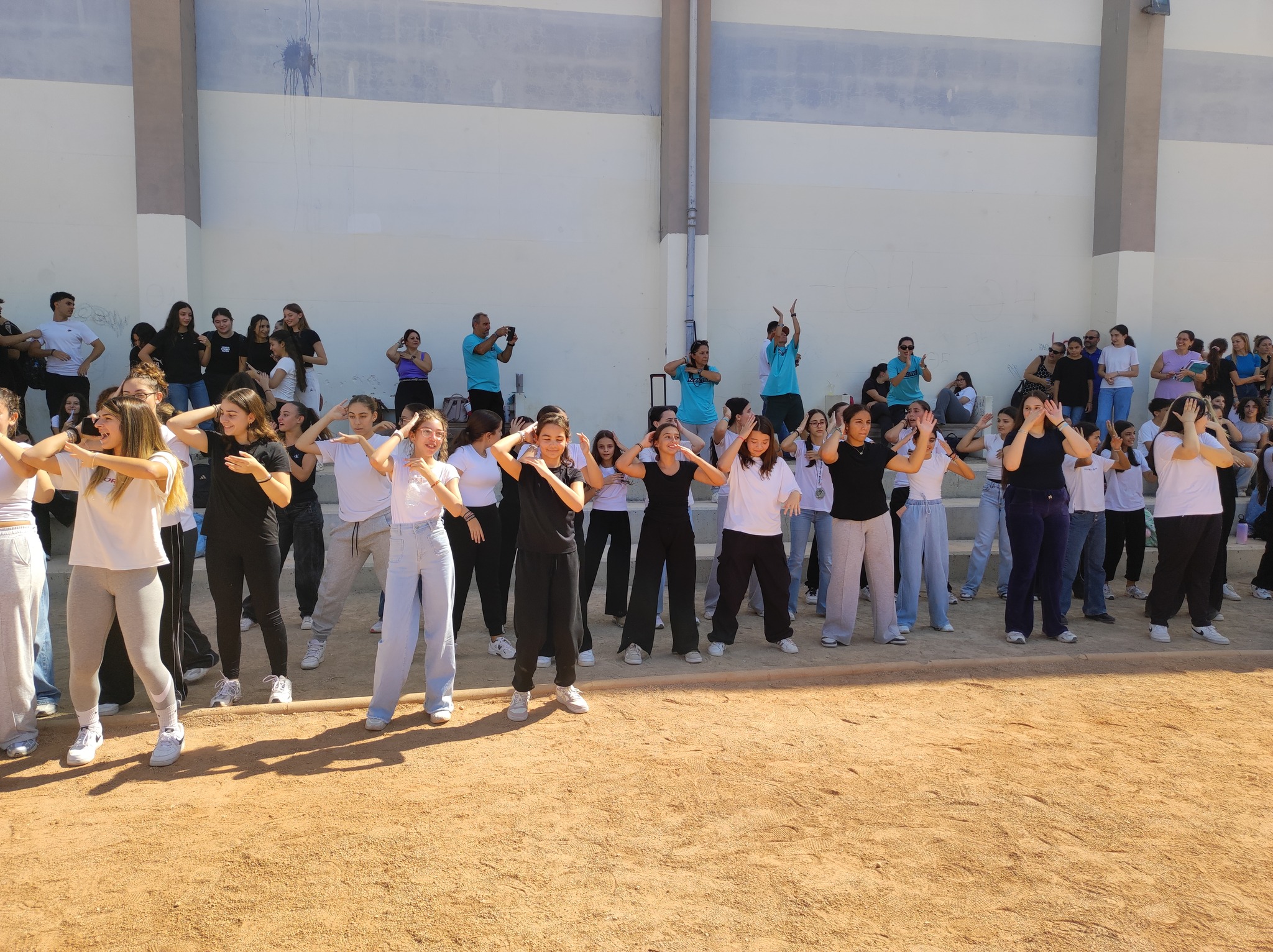 557781442 805187988686859 1901866766945773908 N